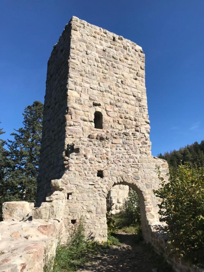 Landgasthof Alpenblick Löffingen Exteriör bild