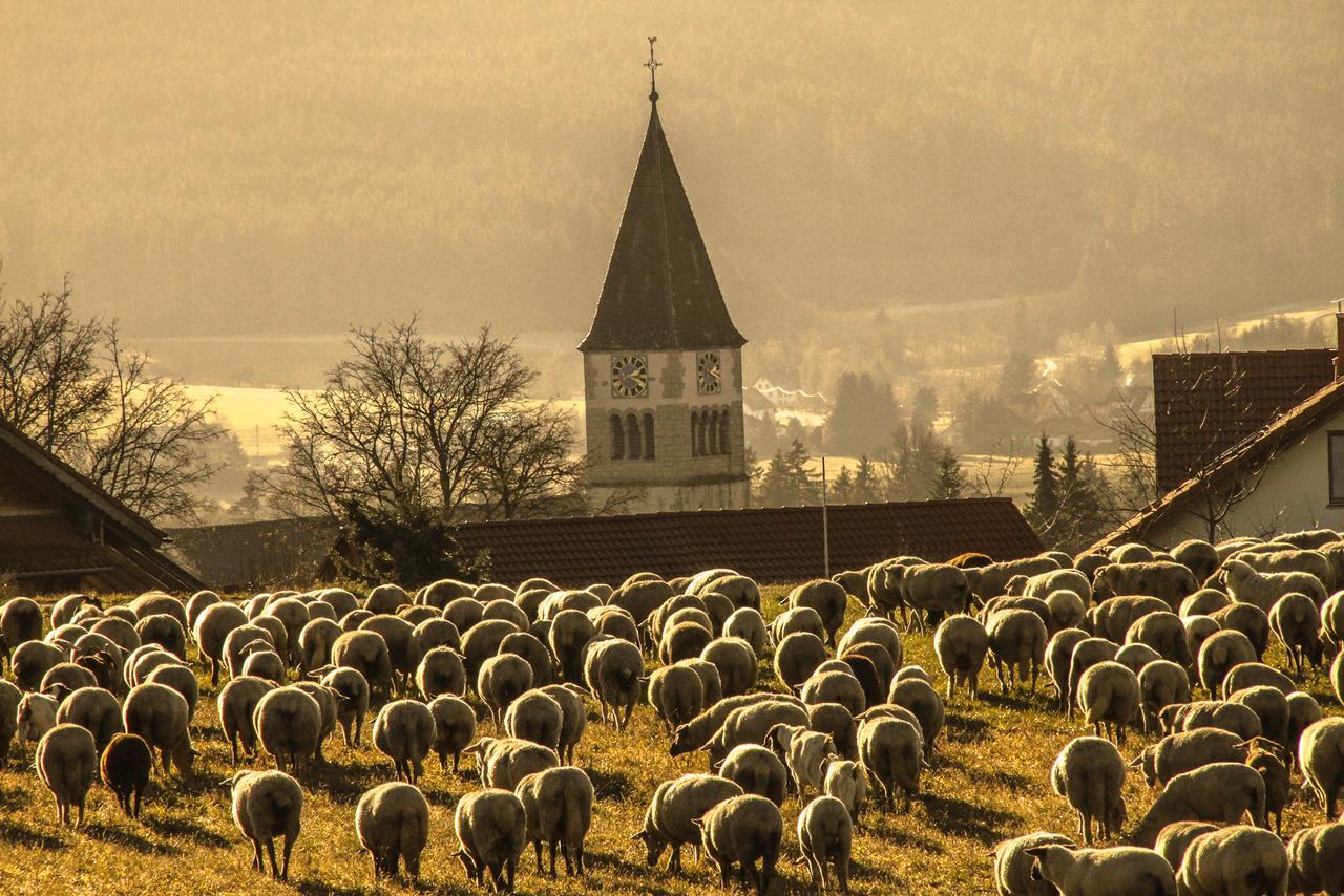 Landgasthof Alpenblick Löffingen Exteriör bild