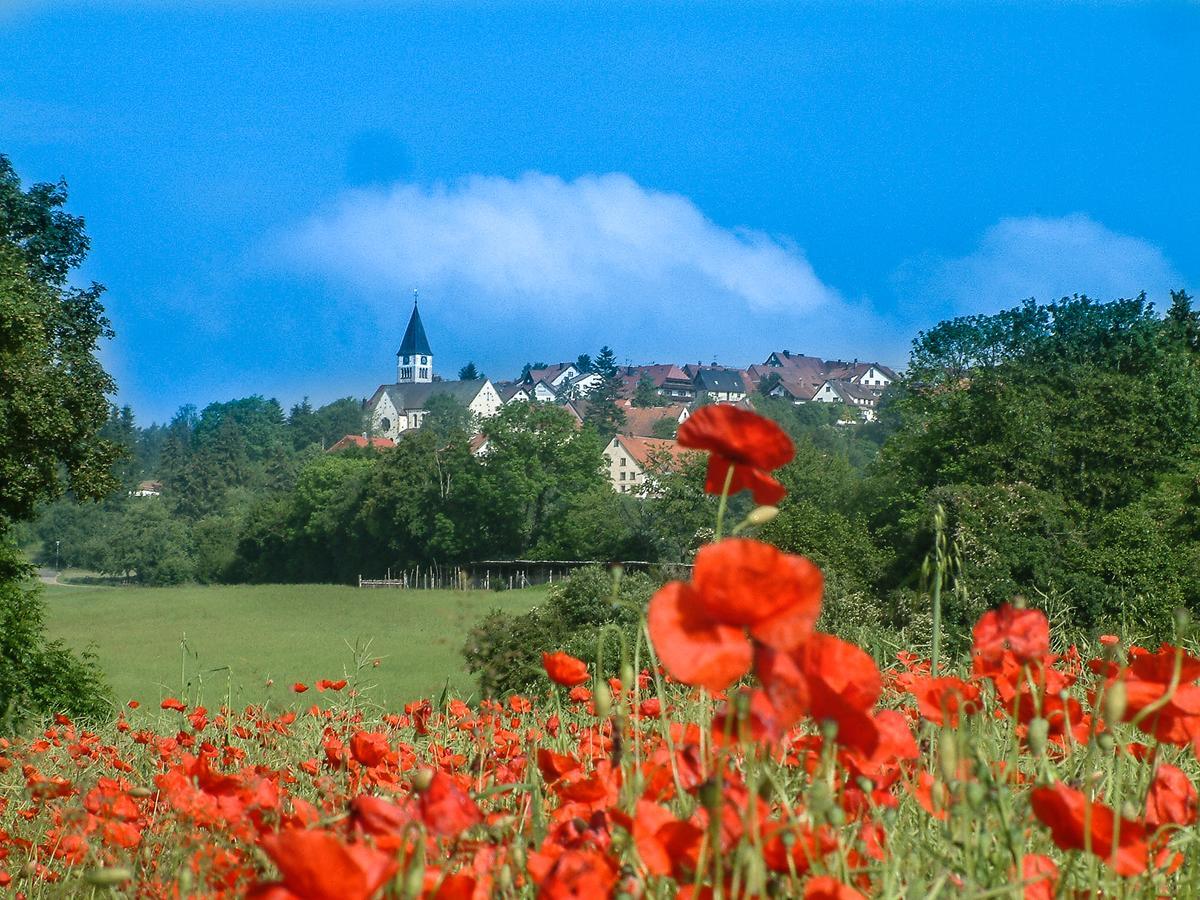 Landgasthof Alpenblick Löffingen Exteriör bild