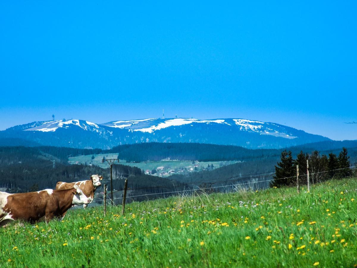 Landgasthof Alpenblick Löffingen Exteriör bild
